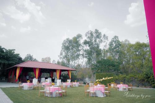Haldi-17