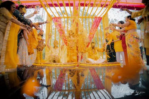 Haldi-449