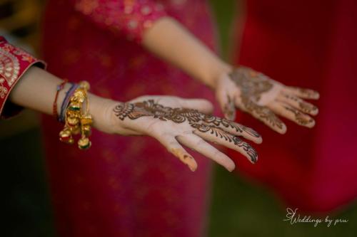 Haldi-626